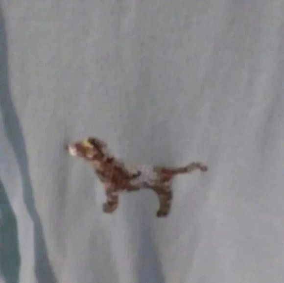 Vs Pink bling palm tree hoodie-medium NWOT - Picture 4 of 5